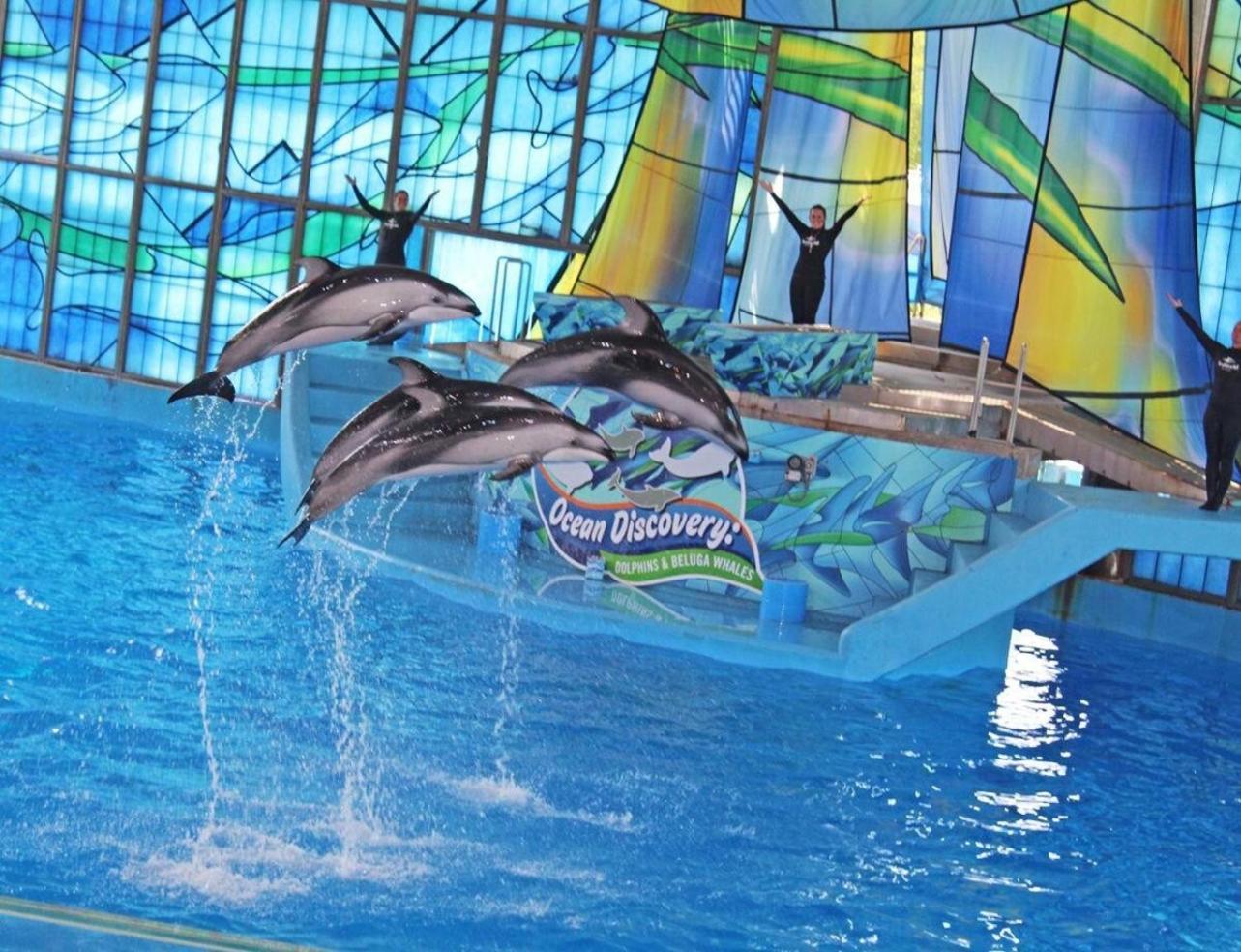 Gameroom, Bbq & Hot-Tub By Lackland & Seaworld Сан Антонио Екстериор снимка